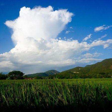 Blue Sky Resort Pai Exteriér fotografie