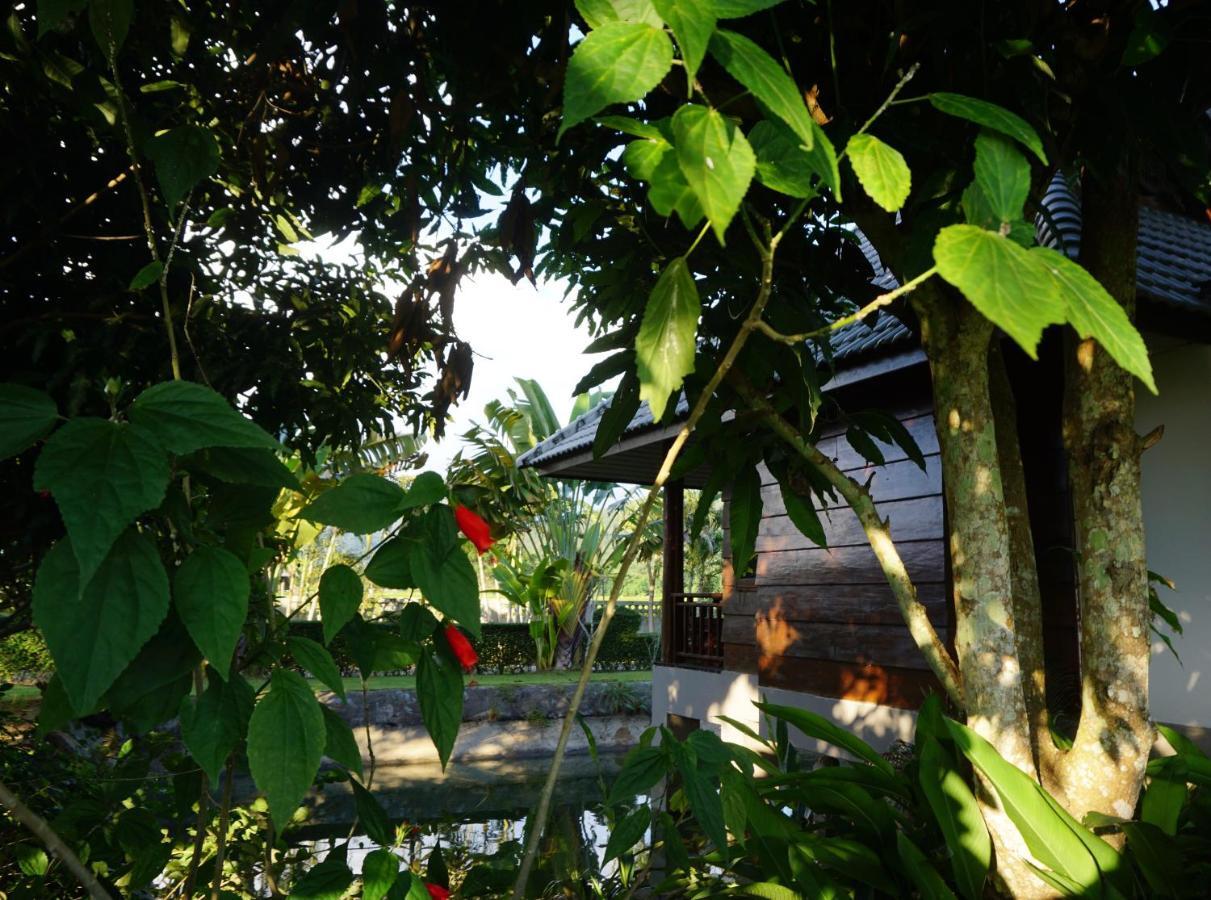Blue Sky Resort Pai Exteriér fotografie
